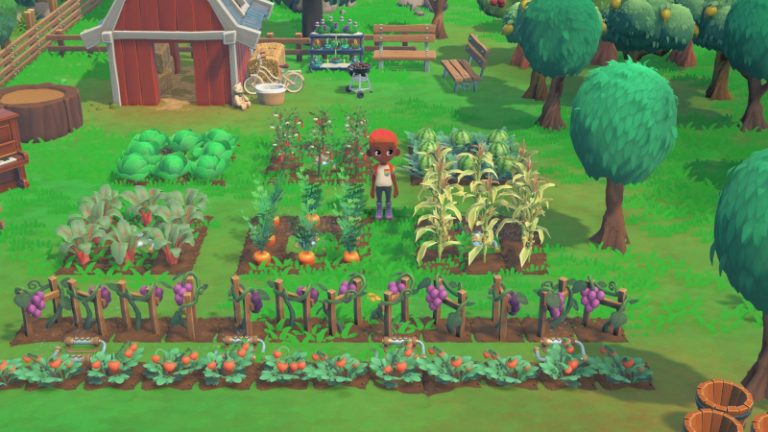 Hokko Life Review